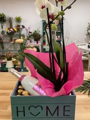Orquídeas y algo mas Orquídea y algo más