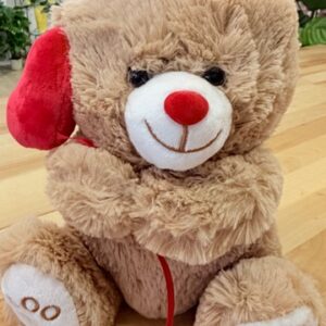 Oso de peluche