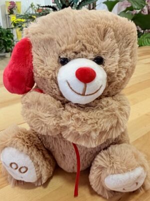 IMG_2445 Oso de peluche
