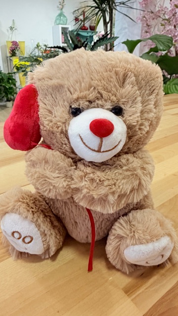 IMG_2445 Oso de peluche